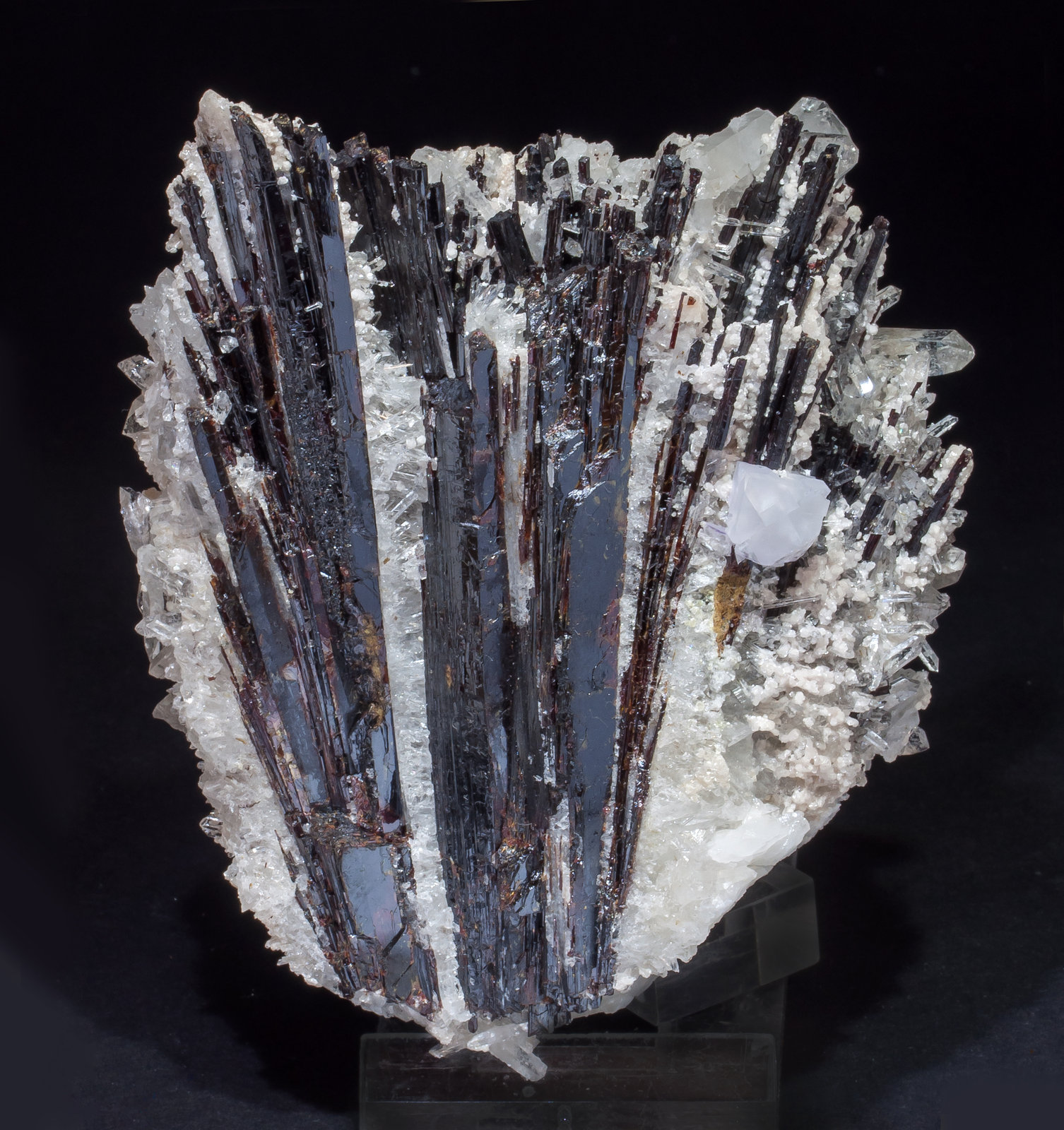 specimens/s_imagesAM1/Hubnerite-FE56AM1f.jpg