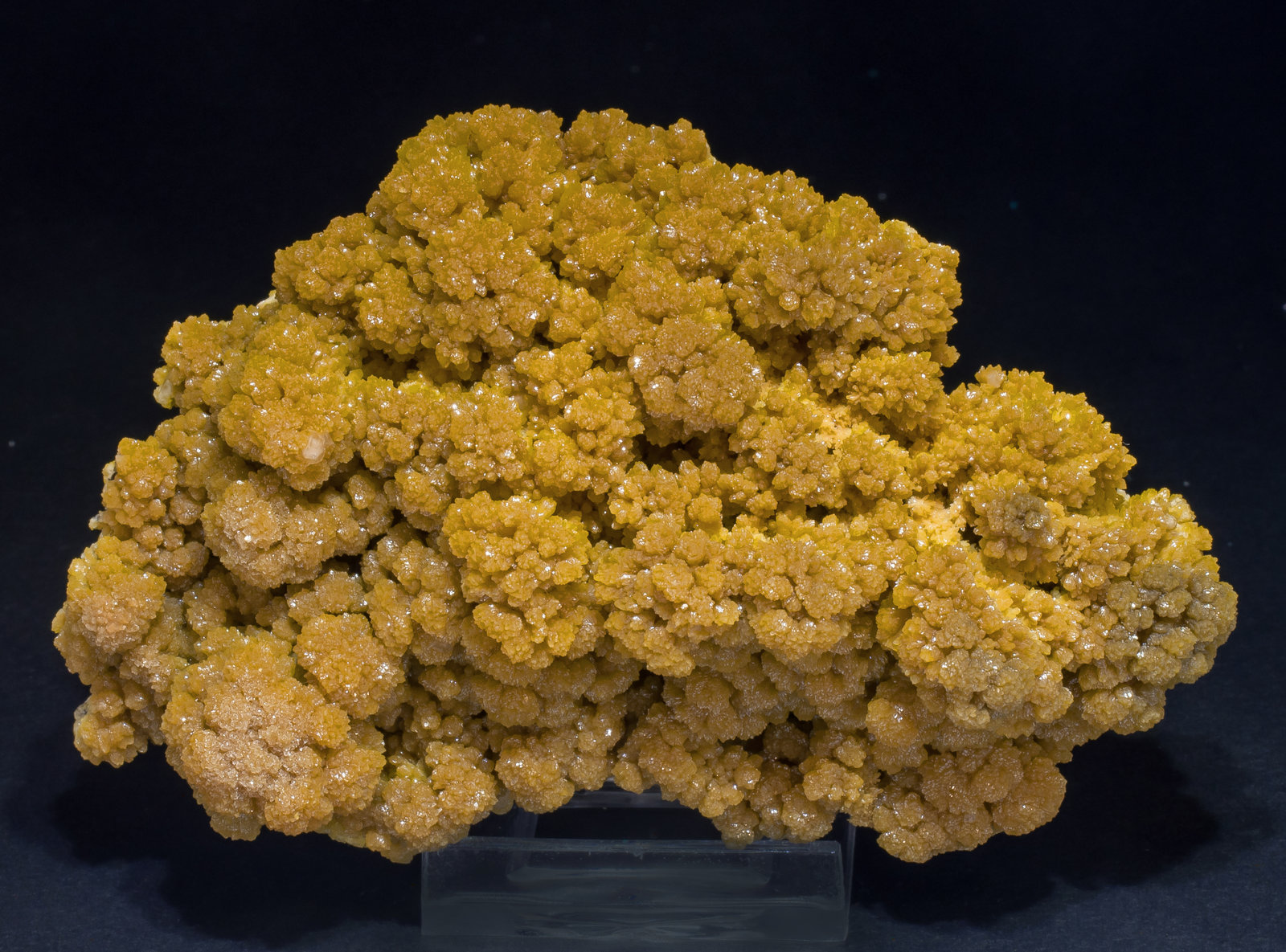 specimens/s_imagesAM1/Mimetite-EX70AM1f.jpg