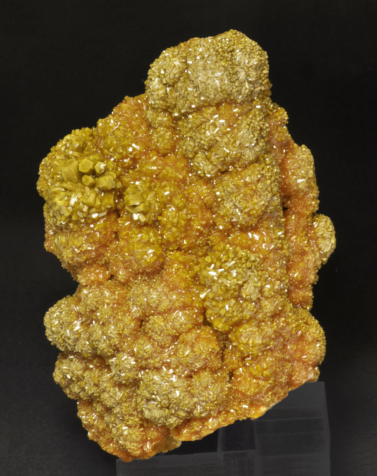 specimens/s_imagesAM1/Pyromorphite-EJ17AM1f.jpg