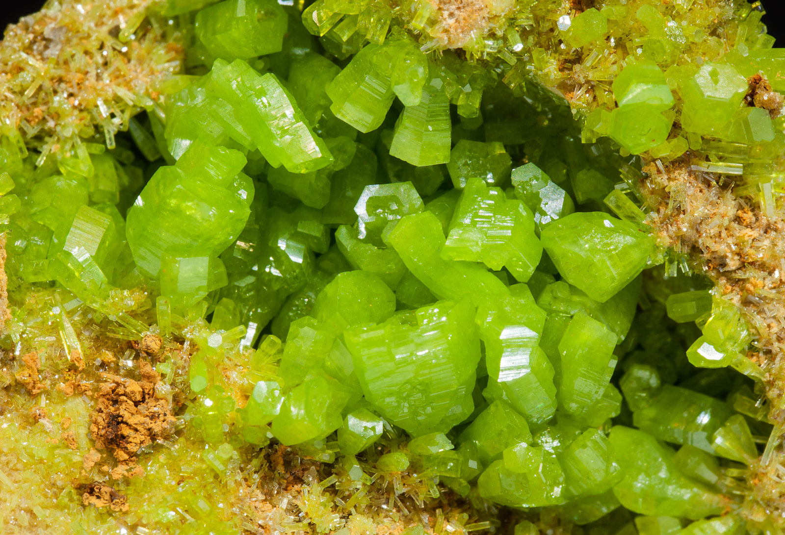 specimens/s_imagesAM1/Pyromorphite-TM89AM1d.jpg