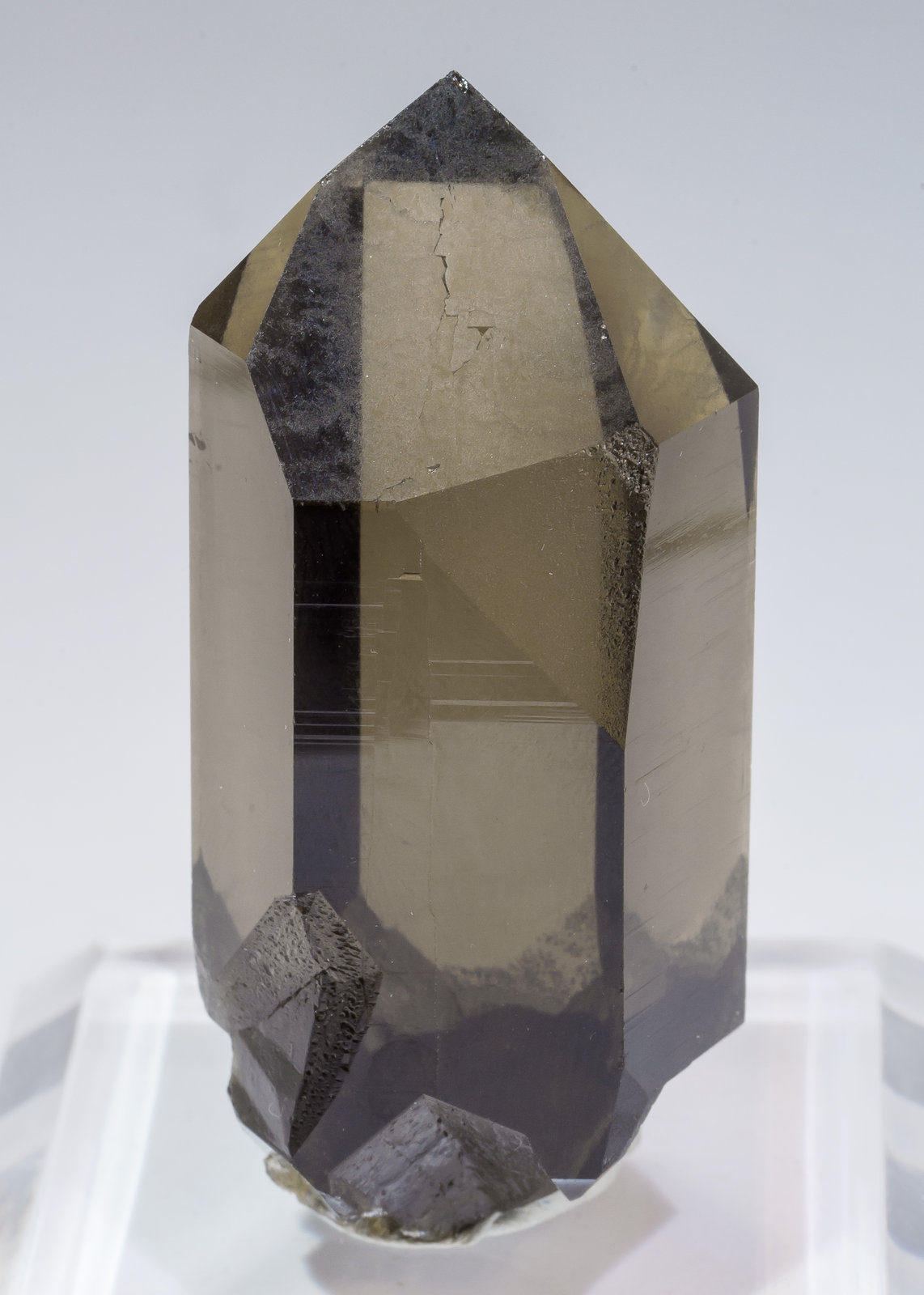 specimens/s_imagesAM1/Quartz_smoky-CB12AM1f.jpg