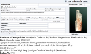 Scolecita con Fluorapophyllita-(K)