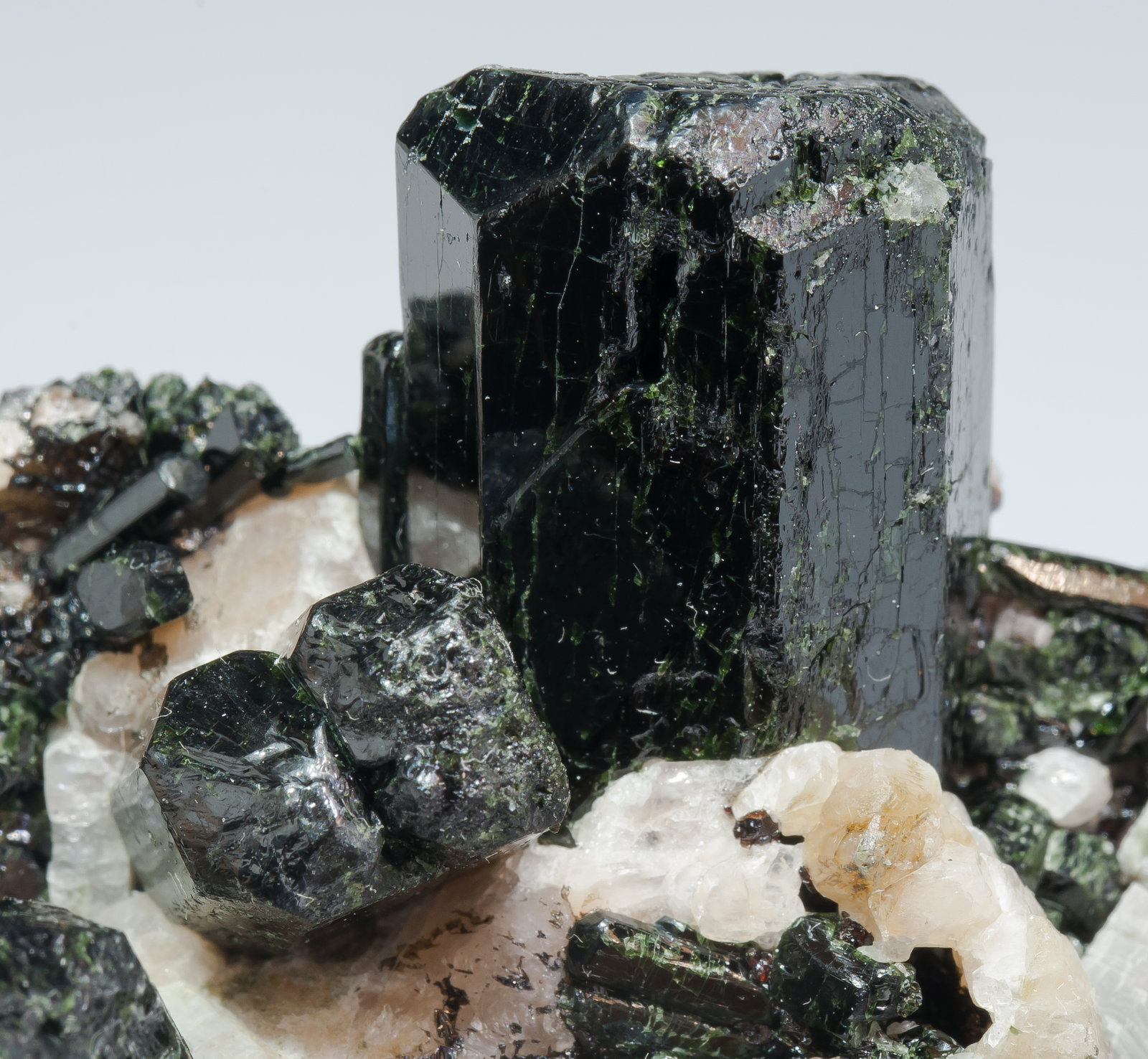 specimens/s_imagesAM2/Diopside-GR27AM2d.jpg