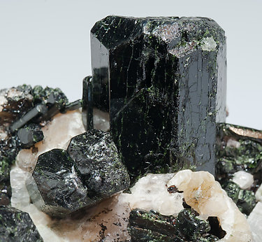 Diopside with Fluorapatite and Calcite. 