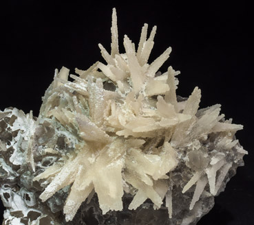 Quartz after Aragonite with Quartz. 