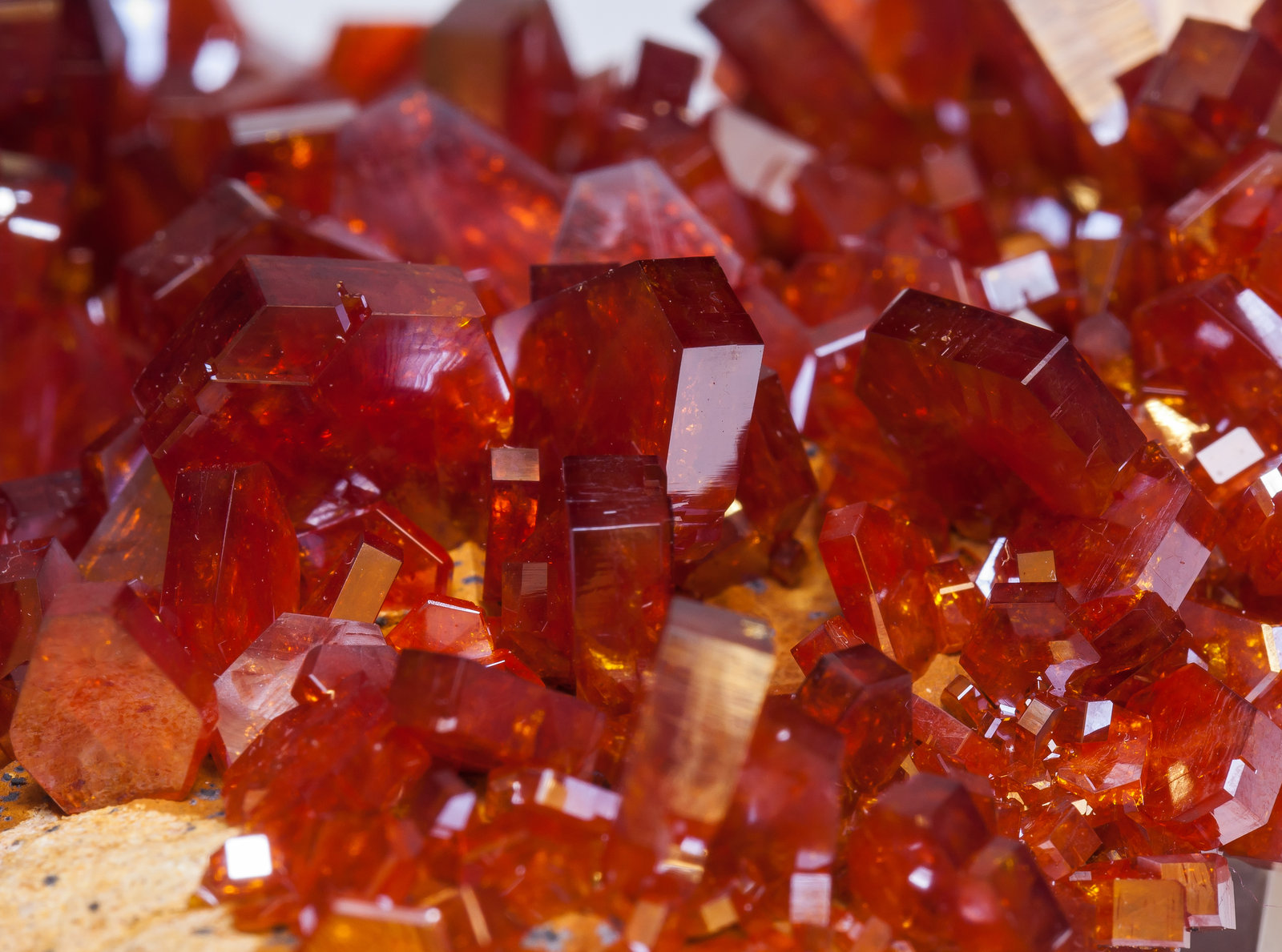 specimens/s_imagesAM2/Vanadinite-EB27AM2d.jpg