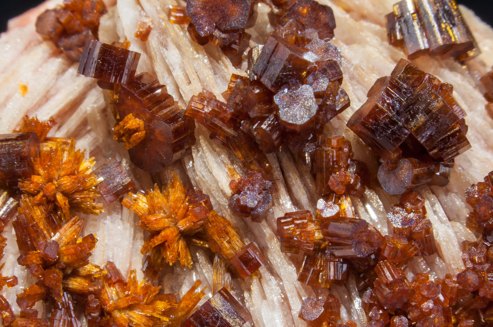 specimens/s_imagesAM2/Vanadinite-EJ56AM2d.jpg