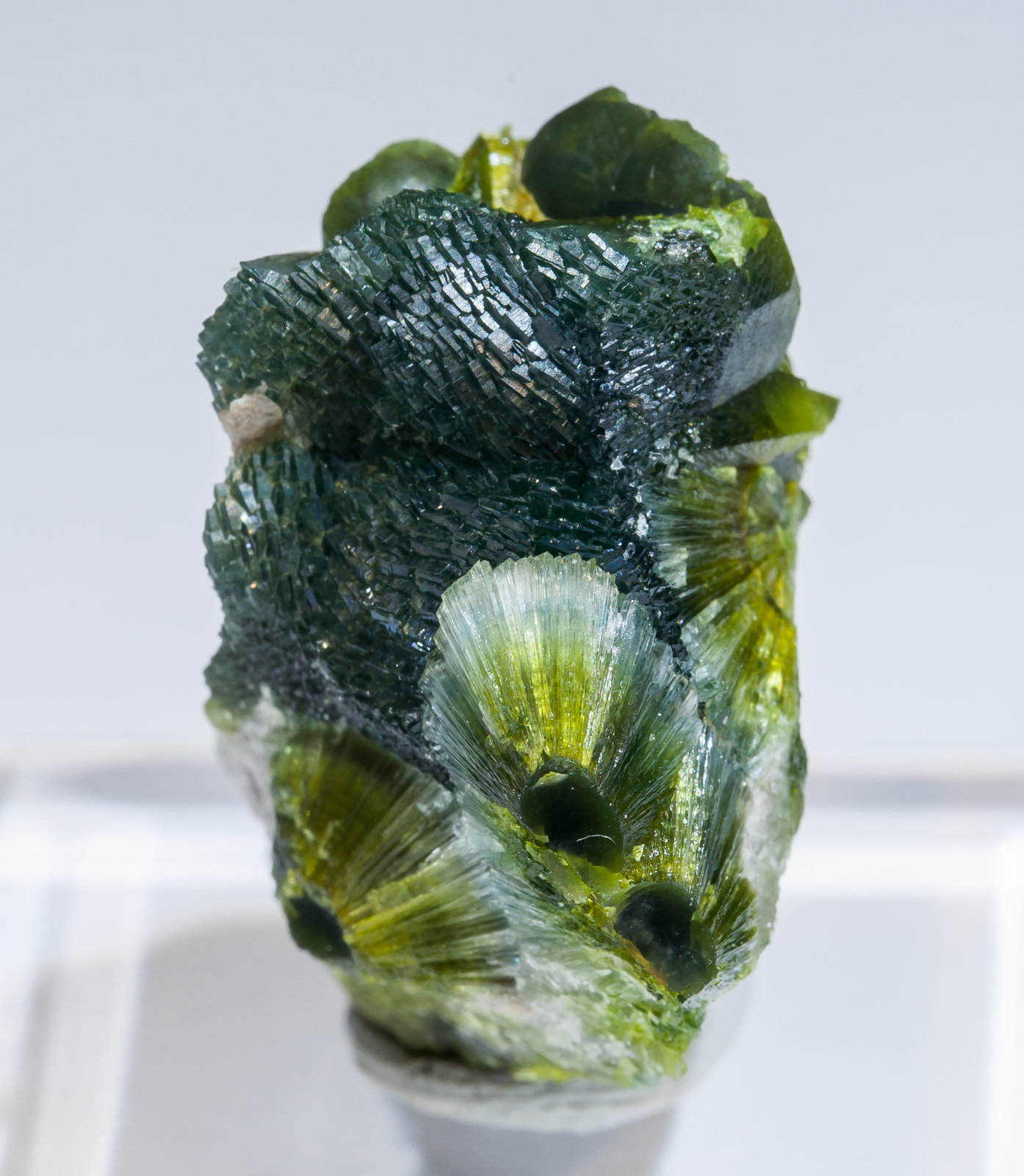 specimens/s_imagesAM2/Wavellite-HC9AM2f.jpg