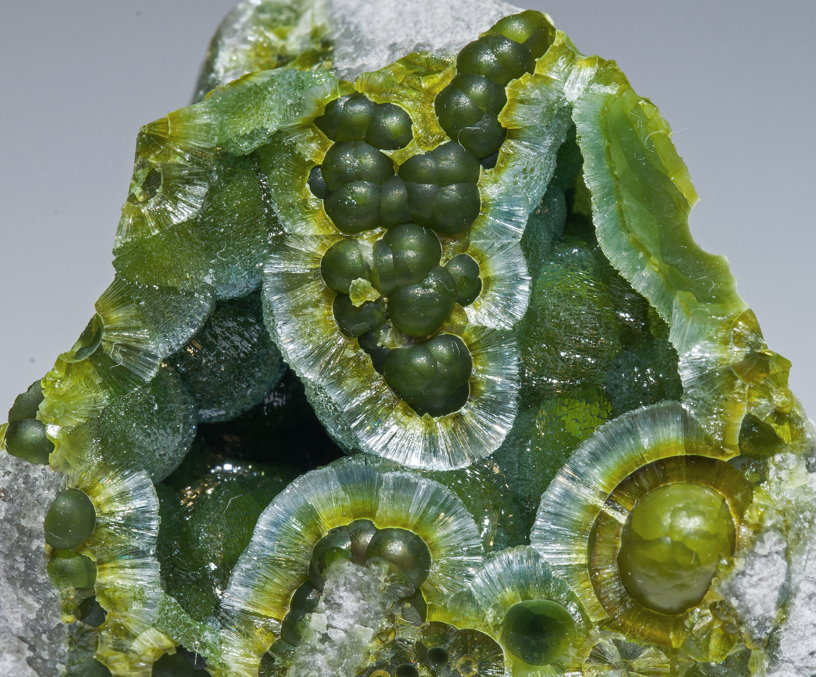 specimens/s_imagesAM2/Wavellite-HG12AM2d.jpg