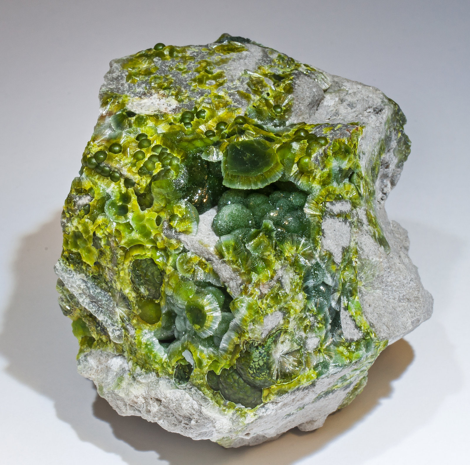 specimens/s_imagesAM2/Wavellite-HL14AM2f.jpg