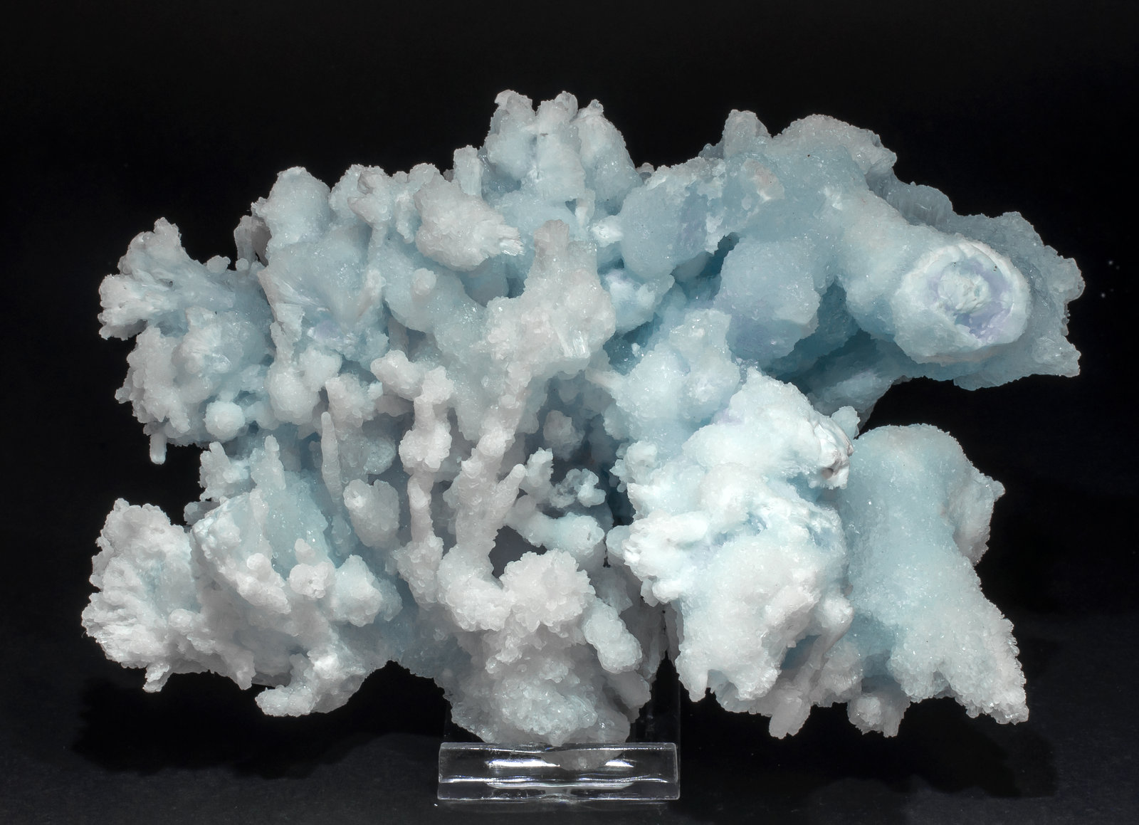 specimens/s_imagesAM3/Aragonite_cuprian-SM99AM3f.jpg