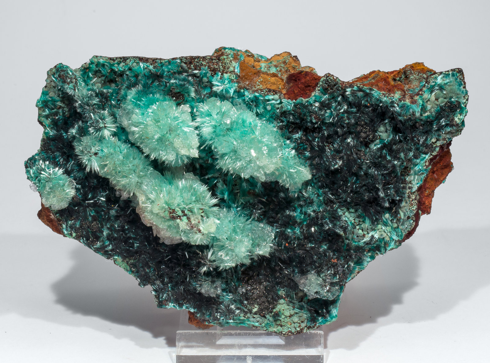 specimens/s_imagesAM3/Aurichalcite-EX58AM3s.jpg