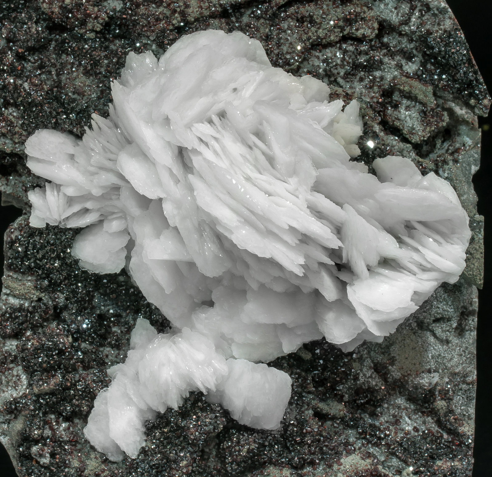 specimens/s_imagesAM3/Baryte-EF50AM3d.jpg