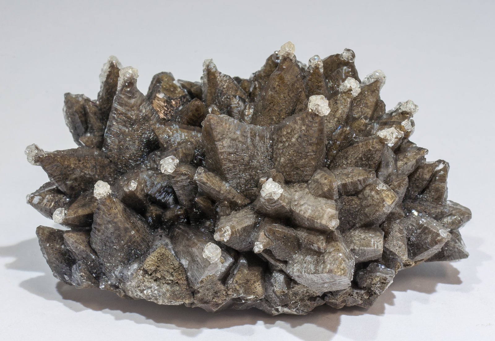 specimens/s_imagesAM3/Calcite-ET46AM3f.jpg