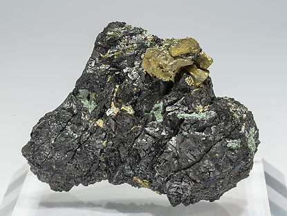 Chalcopyrite with Magnetite. 