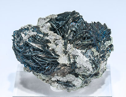 Covellite with Quartz. 