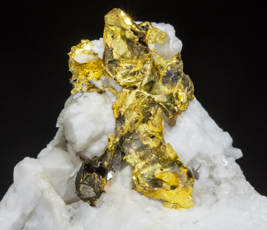 Gold with Quartz. 