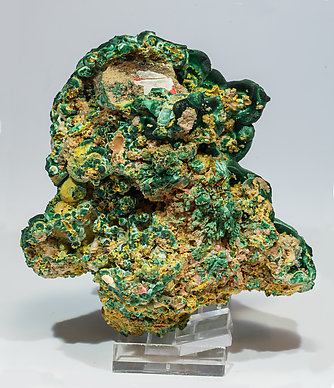 Malachite with Pyromorphite and Cerussite. Rear