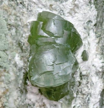 Prehnite with Actinolite (variety byssolite). 