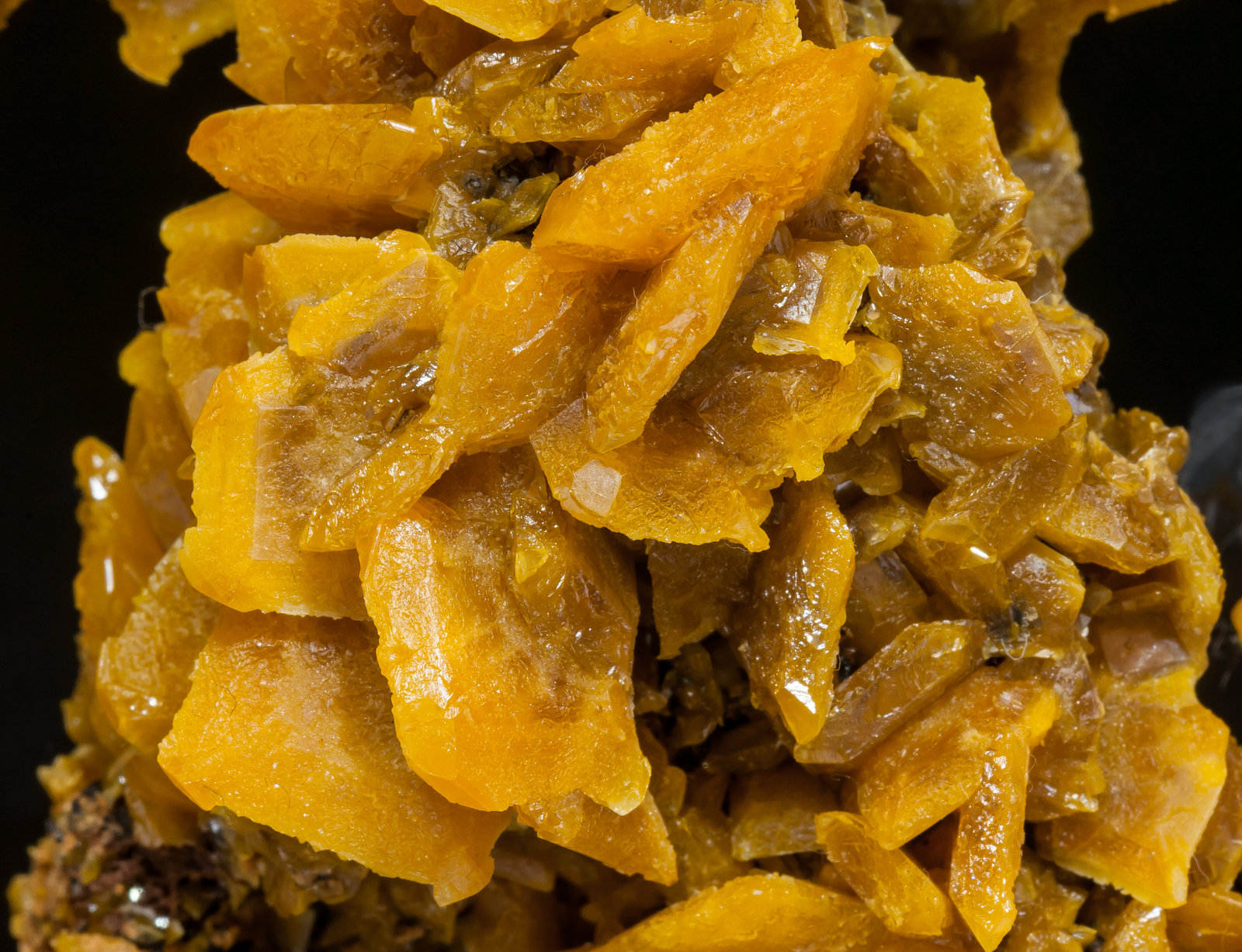 specimens/s_imagesAM3/Wulfenite-EA90AM3d.jpg