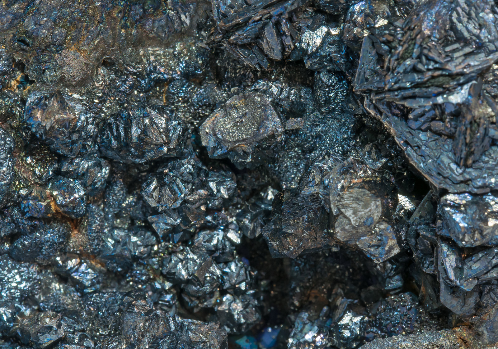 specimens/s_imagesAM4/Bornite-NC57AM4d.jpg