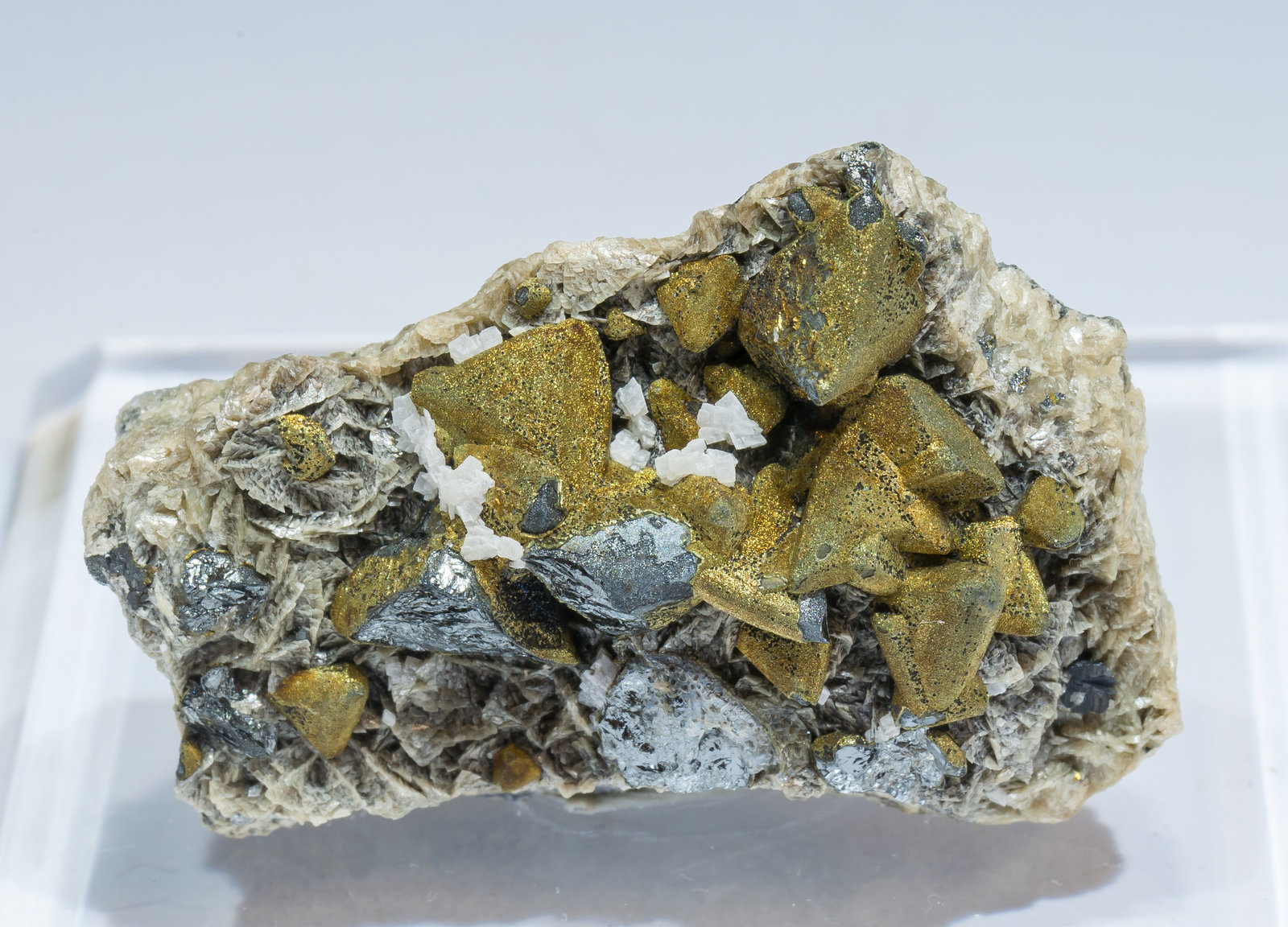 specimens/s_imagesAM4/Chalcopyrite-CR13AM4f.jpg