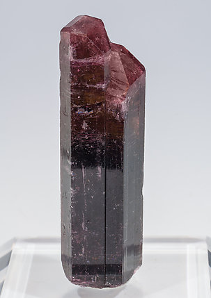 Elbaite (variety rubellite).