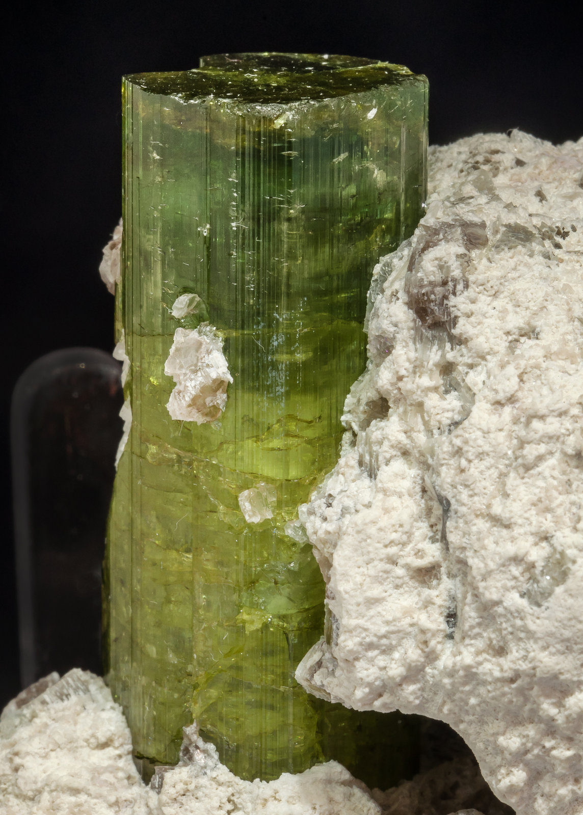 specimens/s_imagesAM4/Elbaite-EF89AM4d.jpg