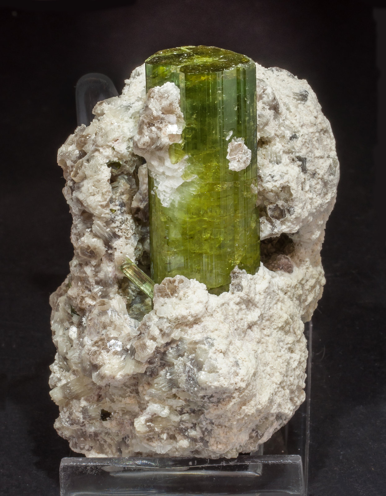 specimens/s_imagesAM4/Elbaite-EF89AM4s.jpg