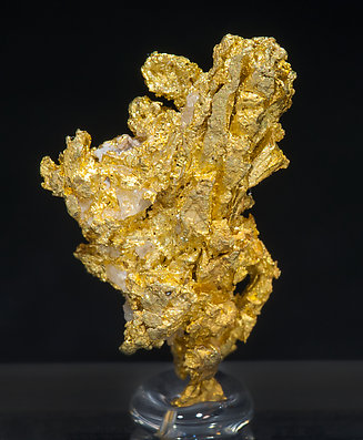 Gold with Quartz. Rear