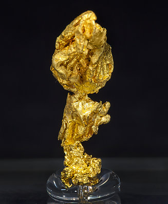 Gold (spinel twin). Rear