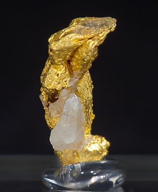Oro (macla de la espinela) con Cuarzo. Vista posterior