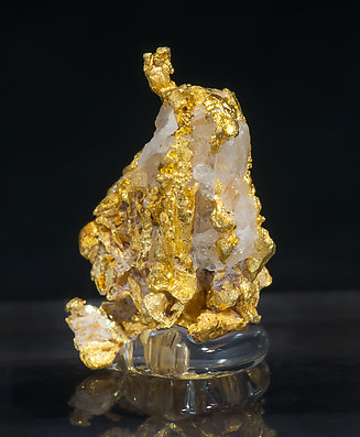 Gold with Quartz. Rear