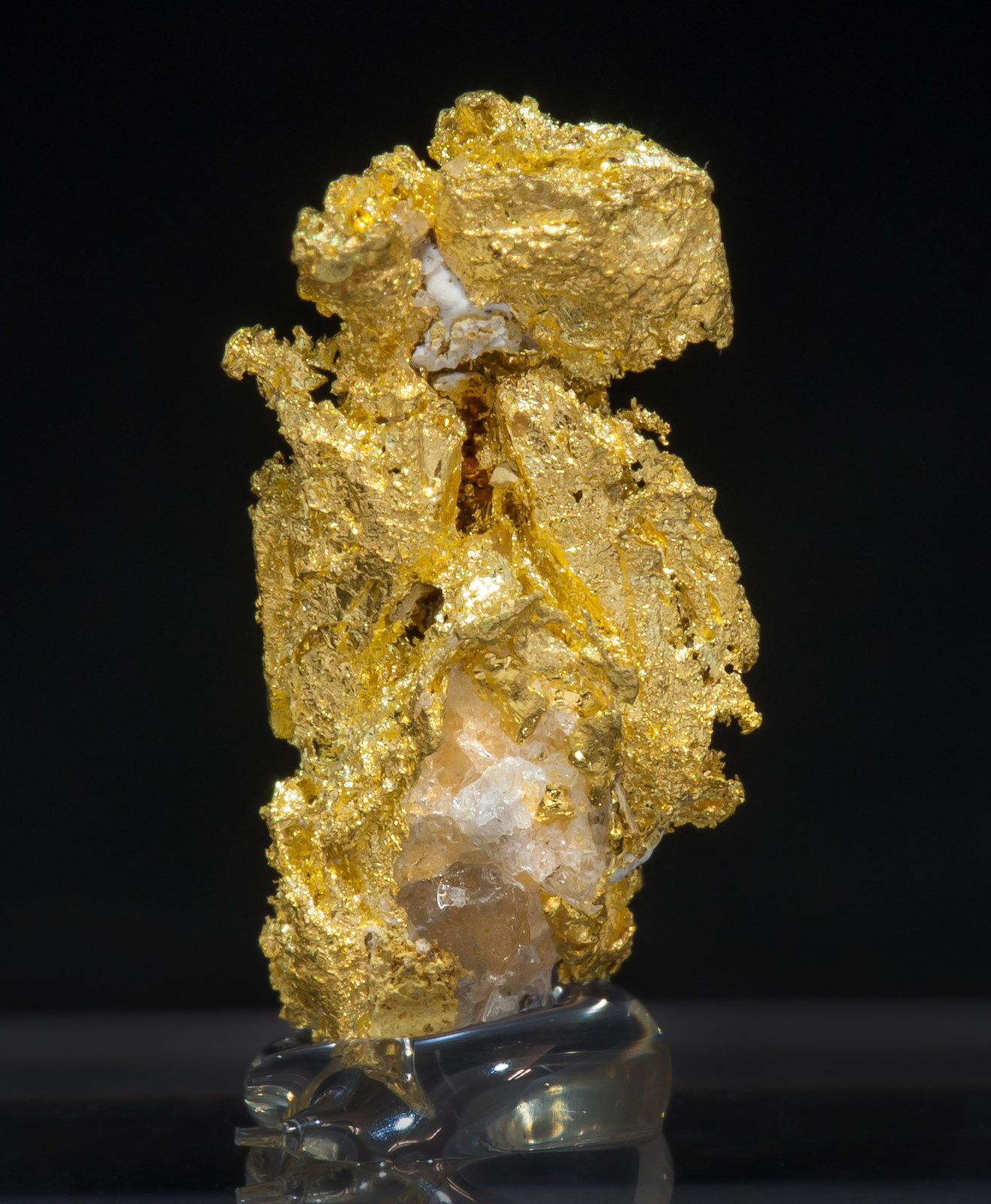 specimens/s_imagesAM4/Gold-MV51AM4r.jpg