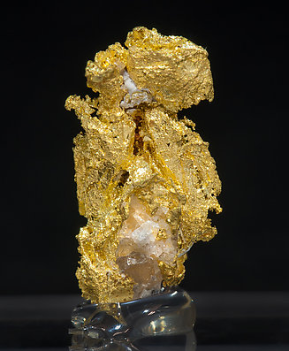 Gold with Quartz. Rear