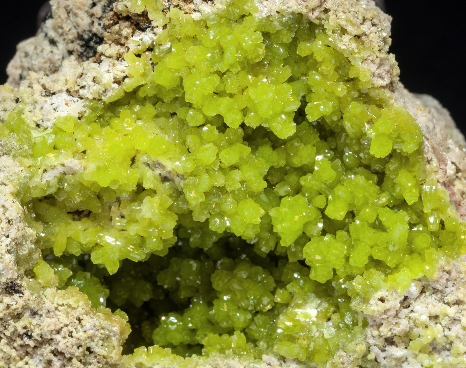 specimens/s_imagesAM4/Pyromorphite-NL90AM4d1.jpg