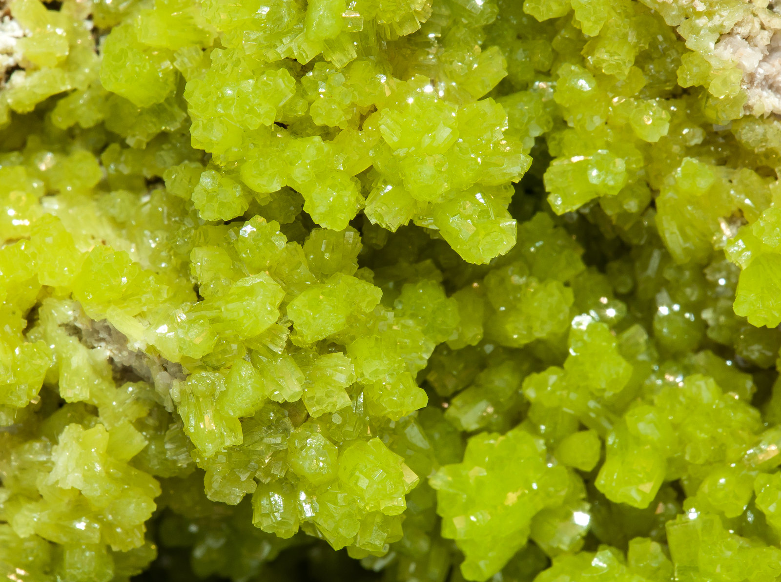 specimens/s_imagesAM4/Pyromorphite-NL90AM4d2.jpg