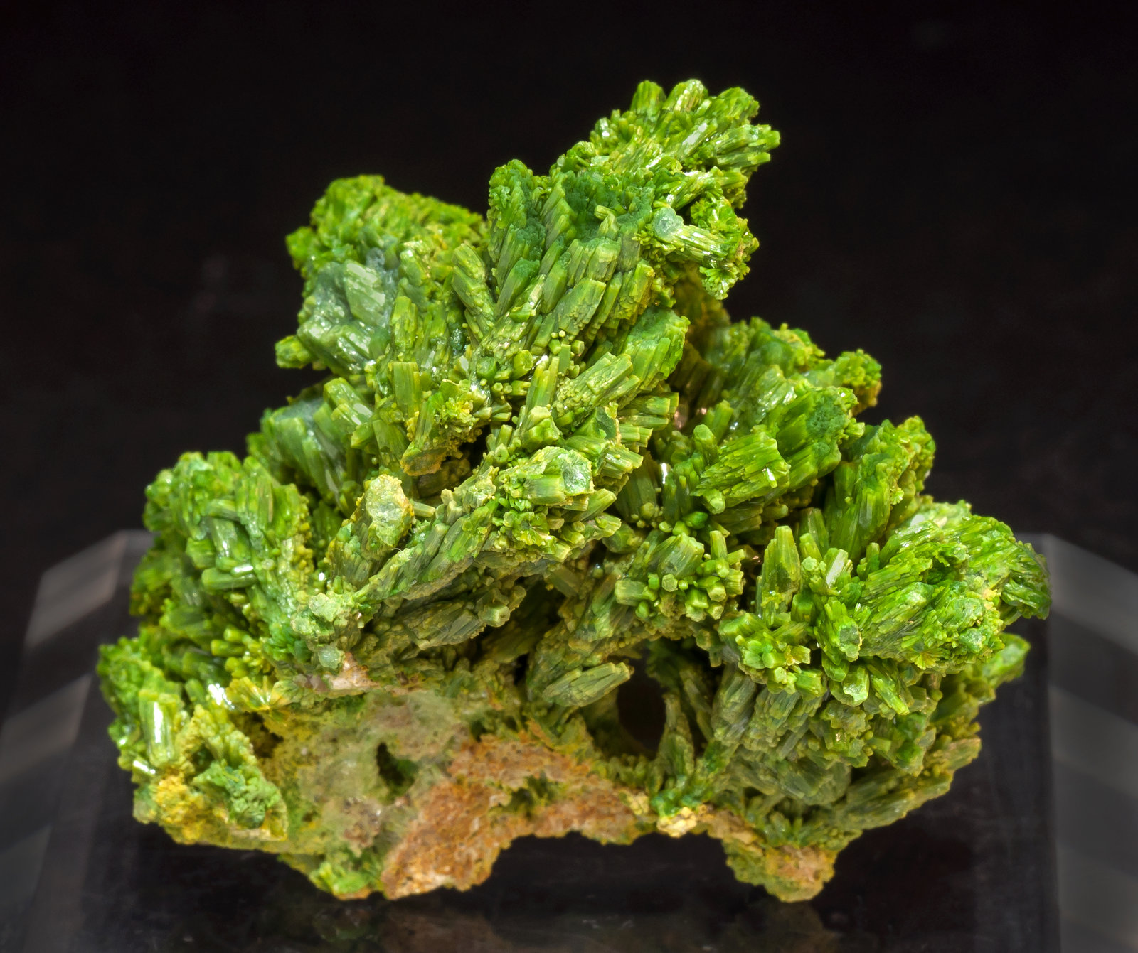 specimens/s_imagesAM4/Pyromorphite-NW37AM4f.jpg