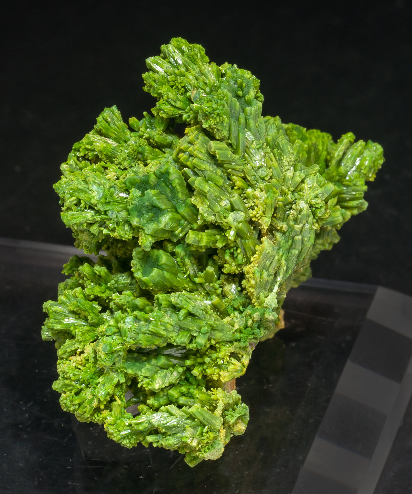 specimens/s_imagesAM4/Pyromorphite-NW37AM4s.jpg