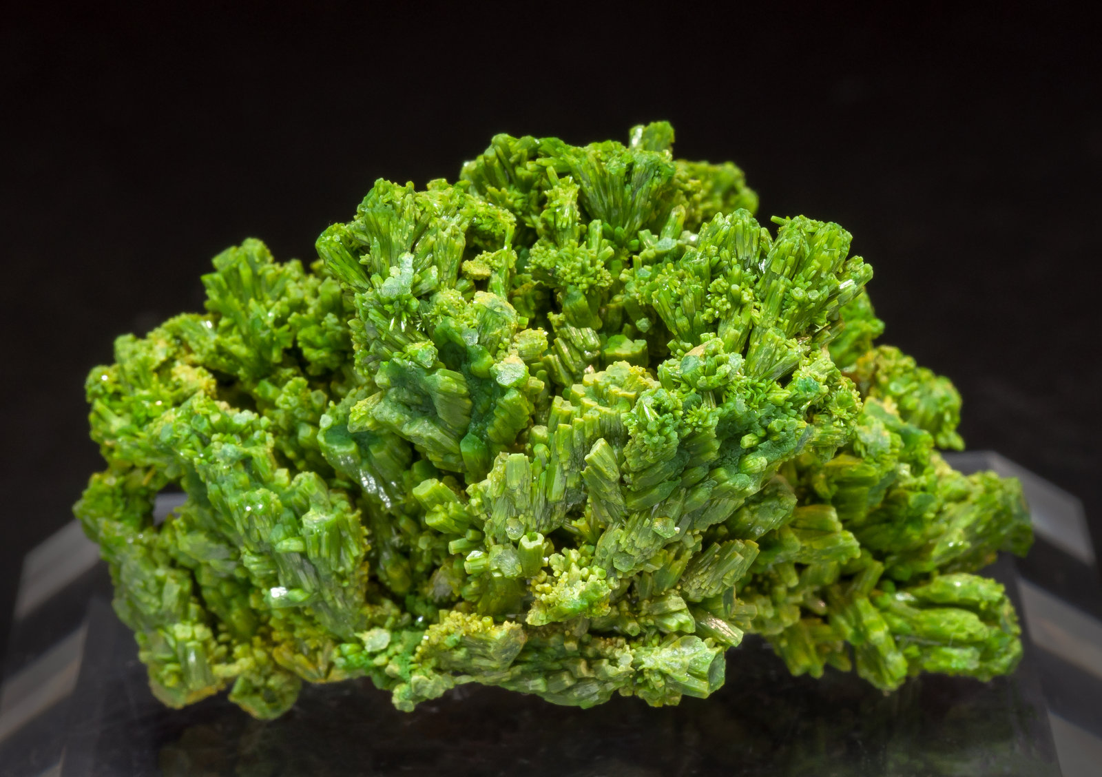 specimens/s_imagesAM4/Pyromorphite-NW37AM4t.jpg