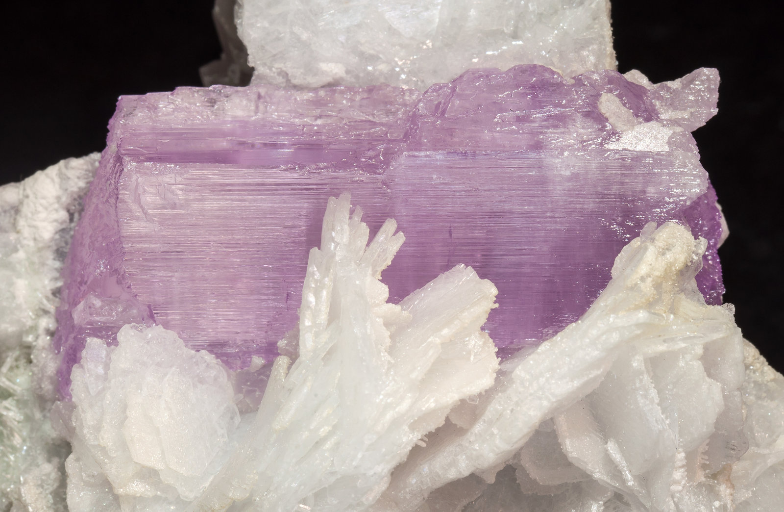 specimens/s_imagesAM4/Spodumene_kunzite-EH87AM4d.jpg