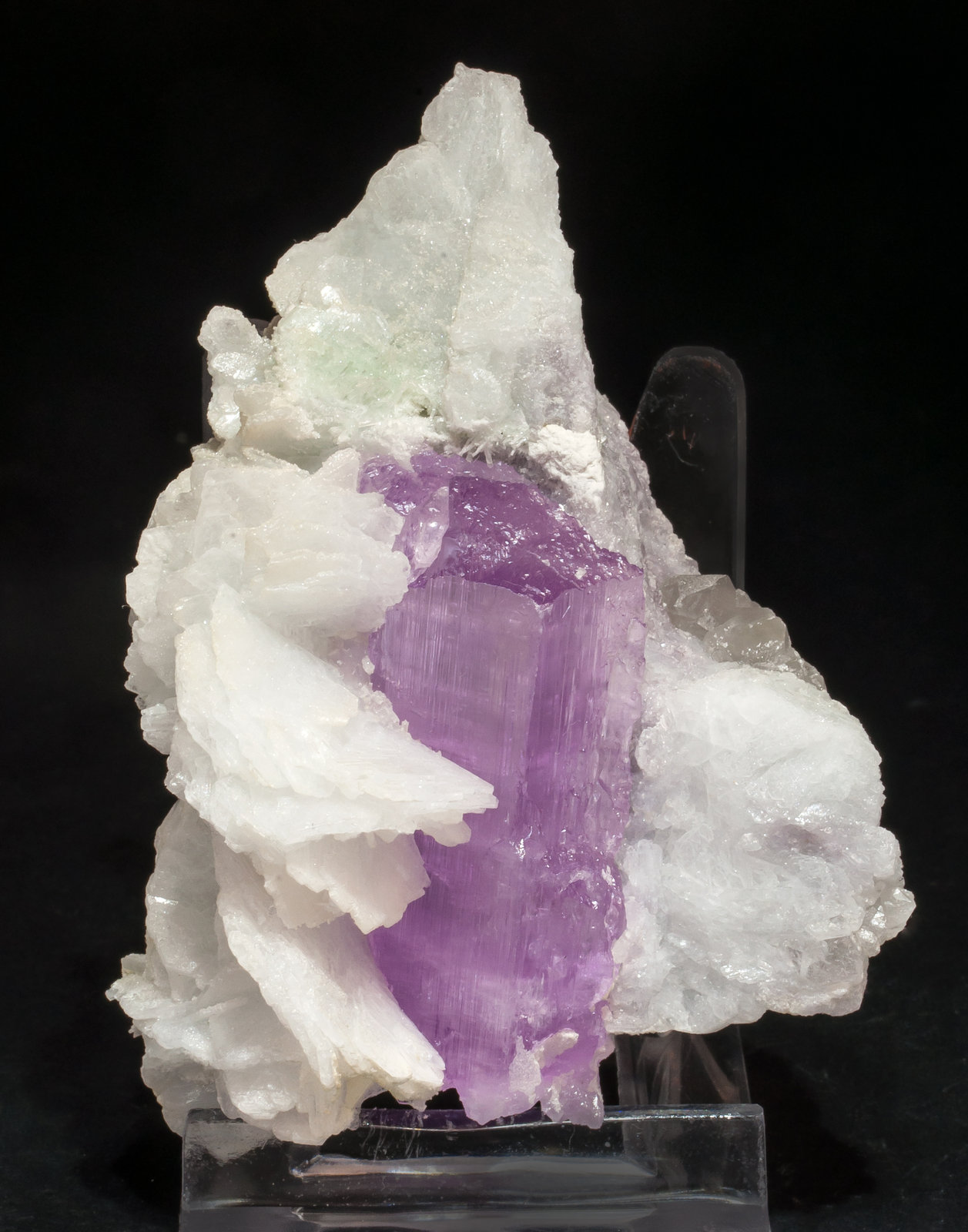 specimens/s_imagesAM4/Spodumene_kunzite-EH87AM4s.jpg