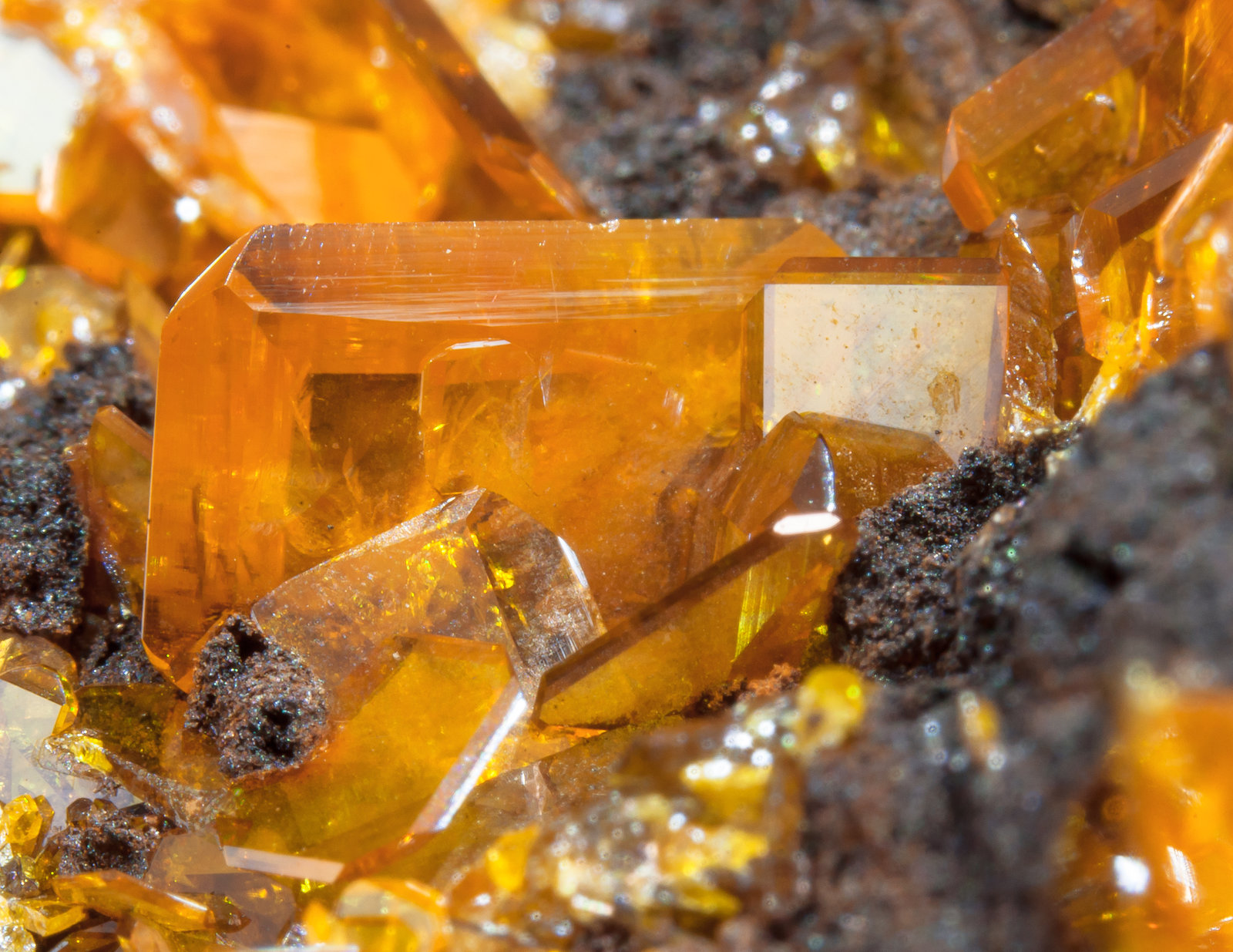 specimens/s_imagesAM4/Wulfenite-ET27AM4d1.jpg