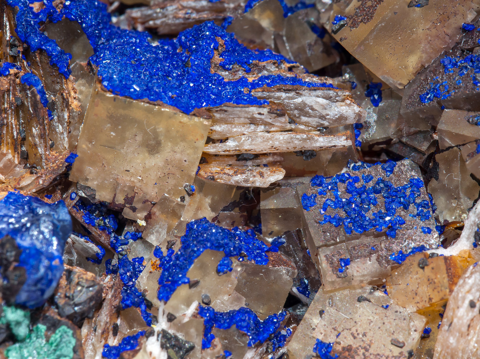 specimens/s_imagesAM5/Azurite-EF14AM5d.jpg