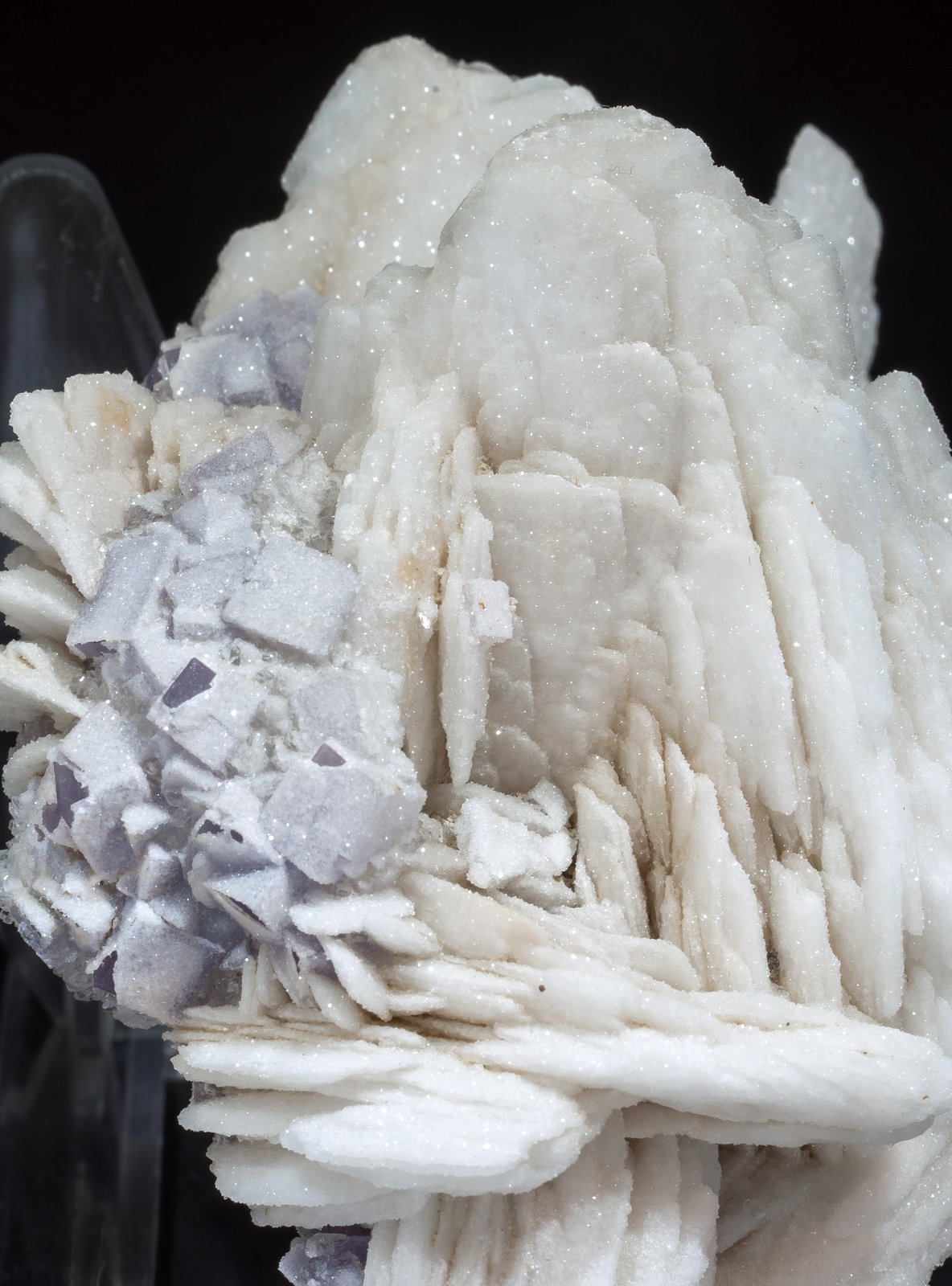 specimens/s_imagesAM5/Baryte-NP16AM5d.jpg