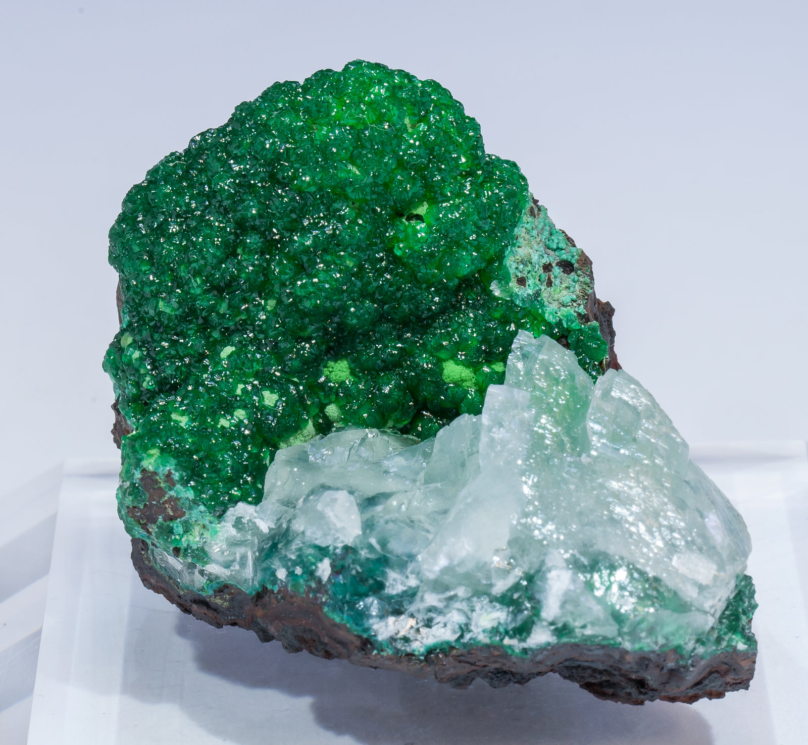 specimens/s_imagesAM5/Conichalcite-CC96AM5f.jpg