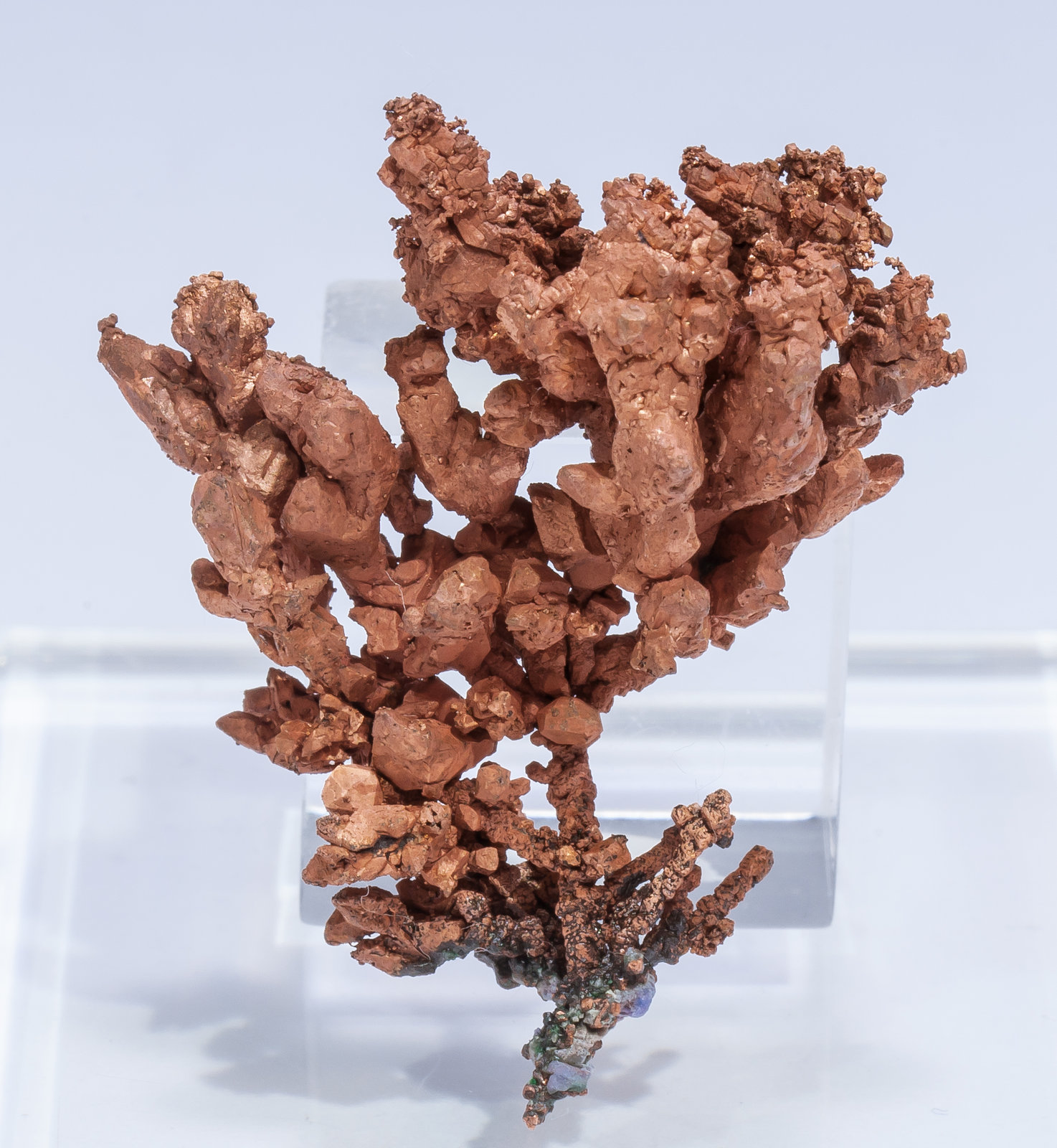 specimens/s_imagesAM5/Copper-DF66AM5r.jpg
