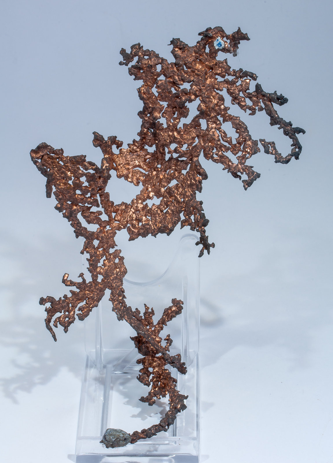 specimens/s_imagesAM5/Copper-NL97AM5f.jpg