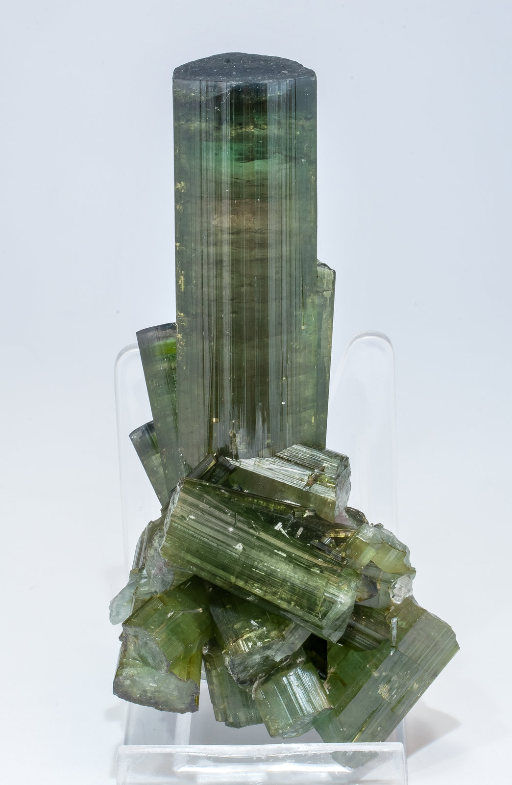 specimens/s_imagesAM5/Elbaite-EF46AM5f1.jpg