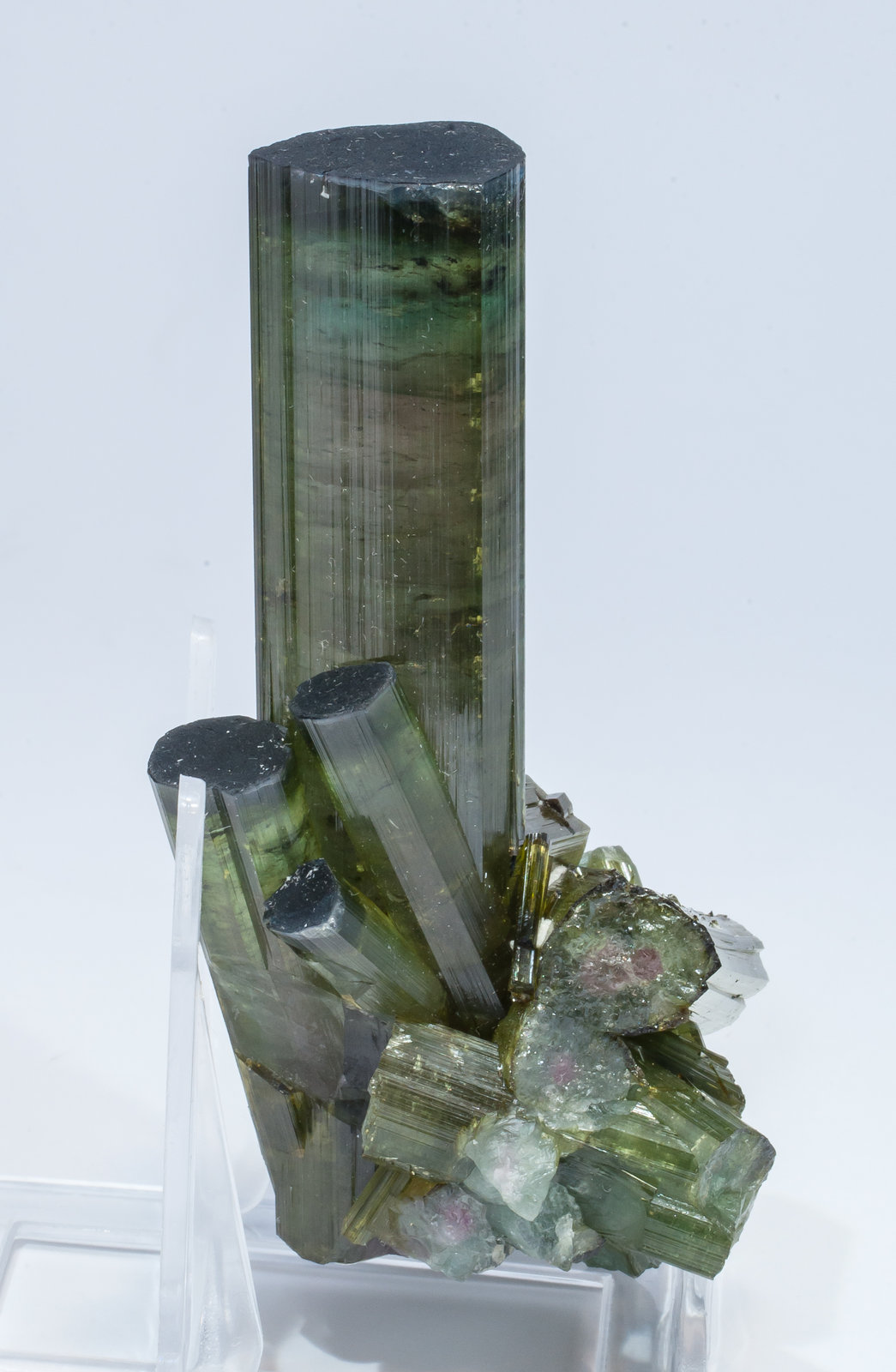 specimens/s_imagesAM5/Elbaite-EF46AM5s1.jpg